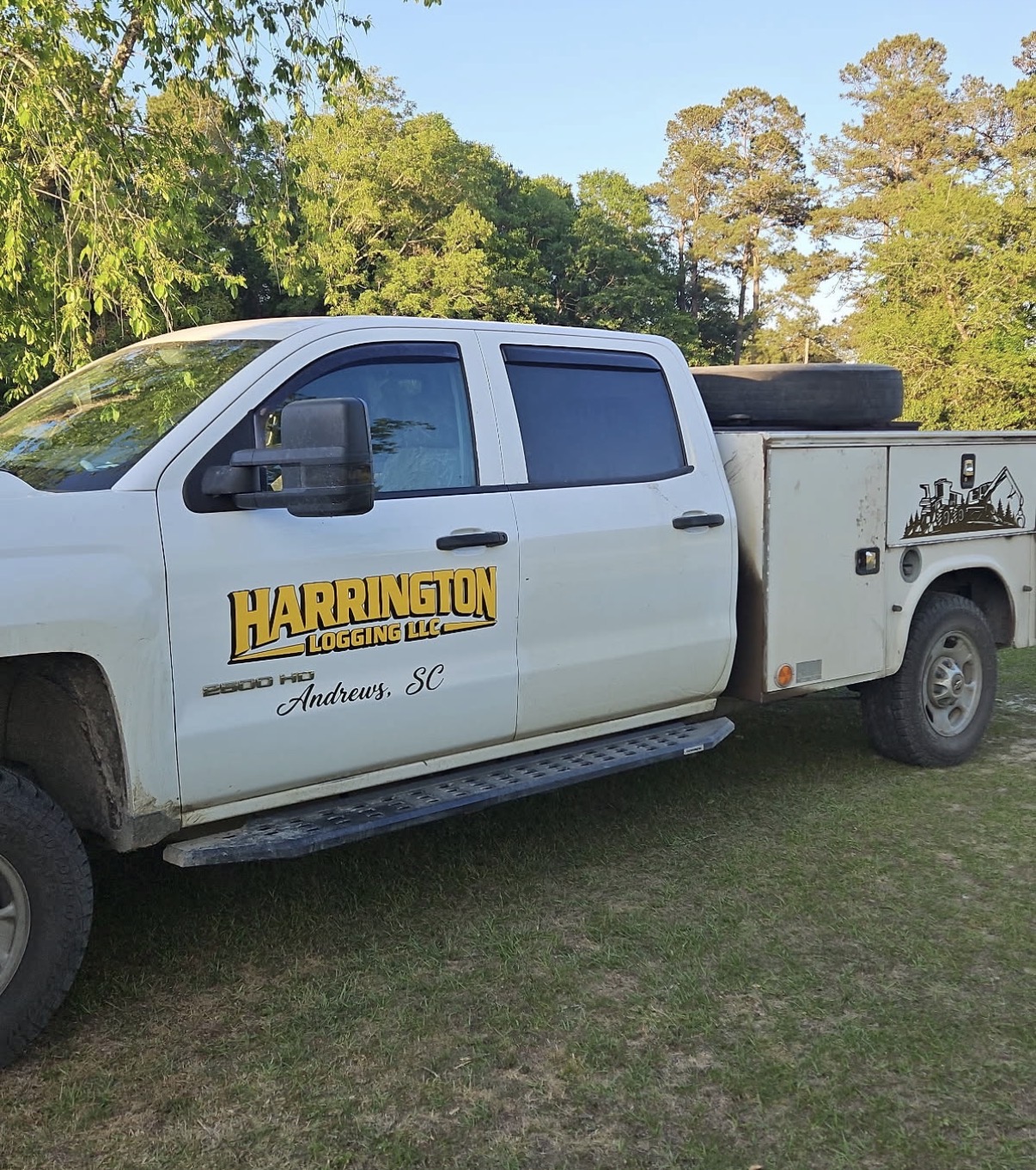 Vehicle Lettering